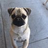 Paul