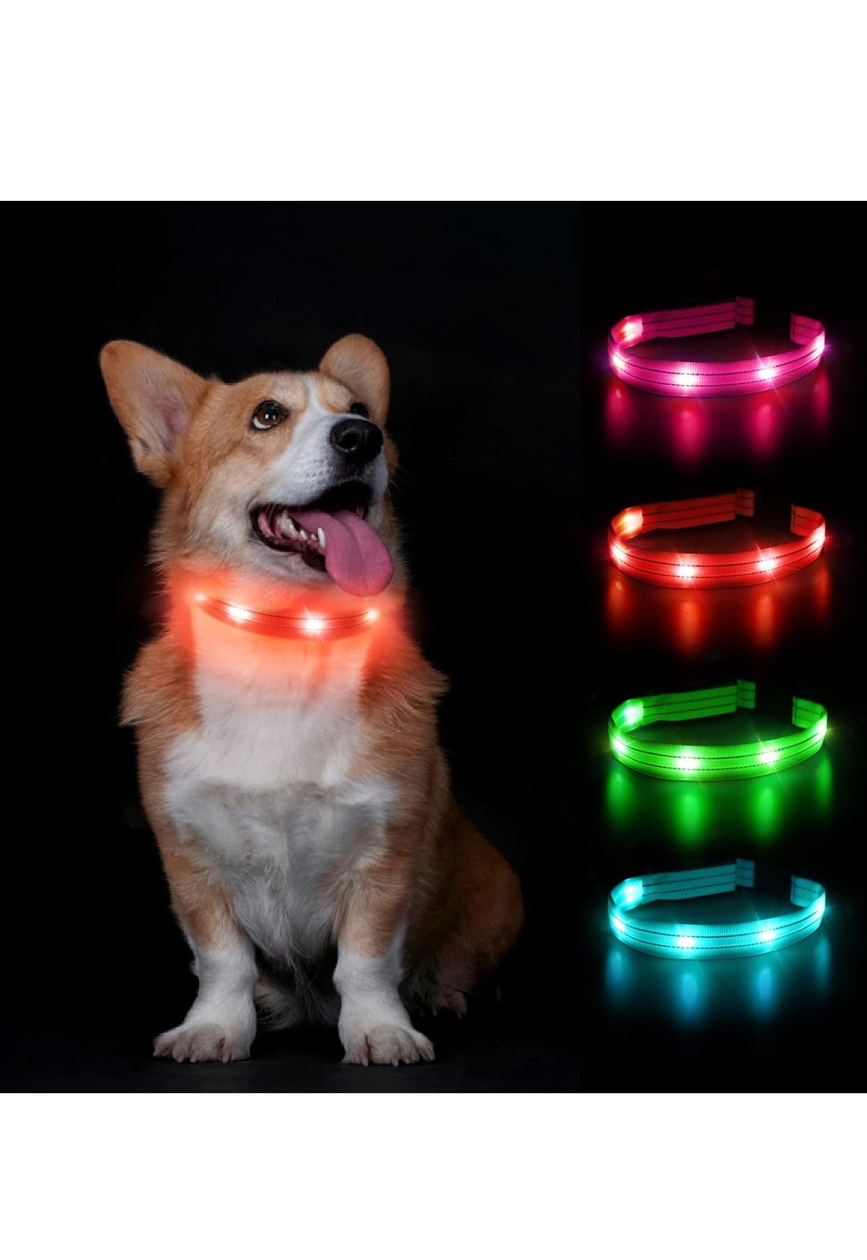 LED Dog Collar Light Up Flashing Rechargeable Waterproof Adjustable X small