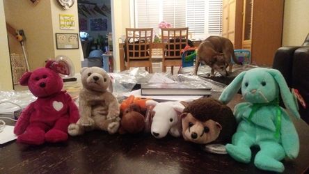 6 beanie babies. Make an offer