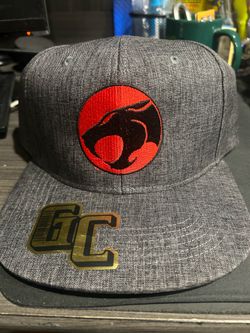 Embroidered 100 percent cotton Thundercats Logo adjustable Hat in Heather gray