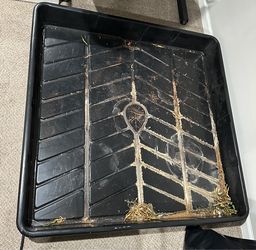 Botanicare Black Outer Dimensions Tray – 4 Feet x 4 Feet