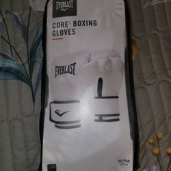 Everlast Boxing Gloves