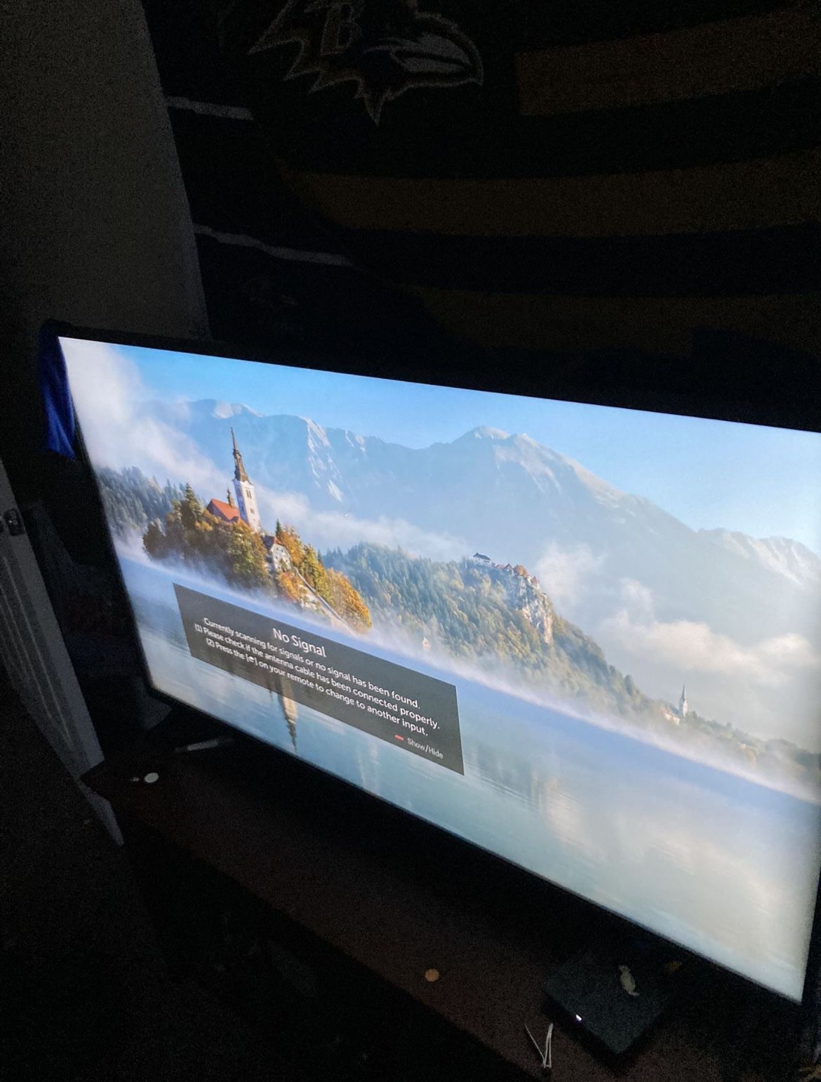 55 Inch LG SMART TV