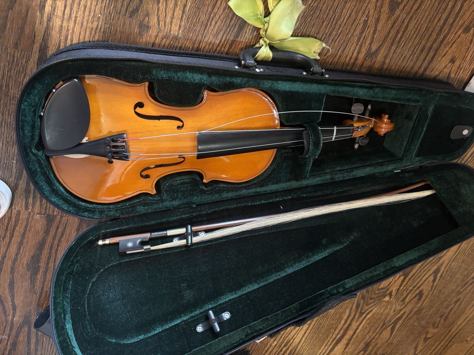 Viola