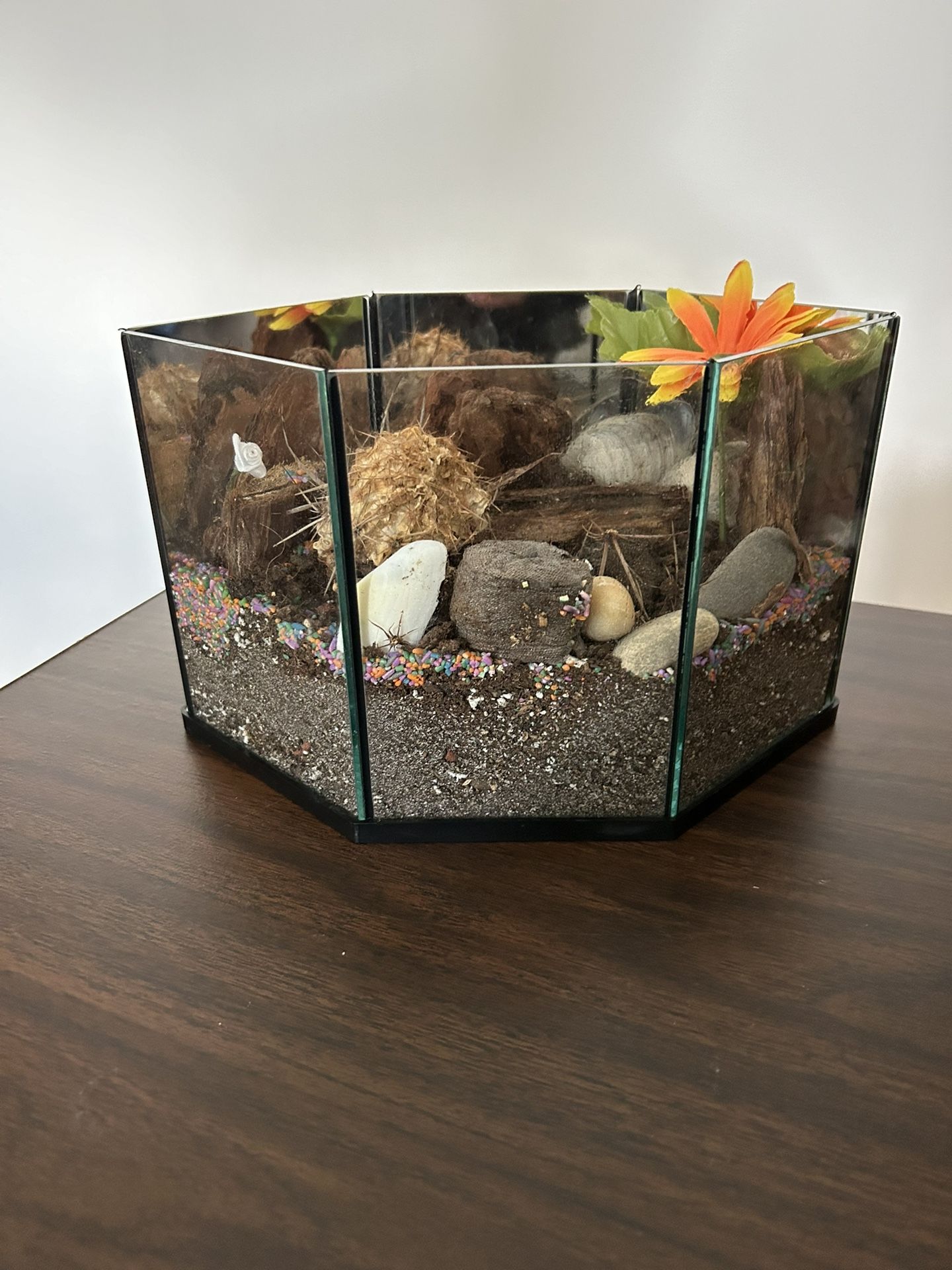 Glass mirrored geometric hexagon Terrarium display case 10” x 6” x 6”