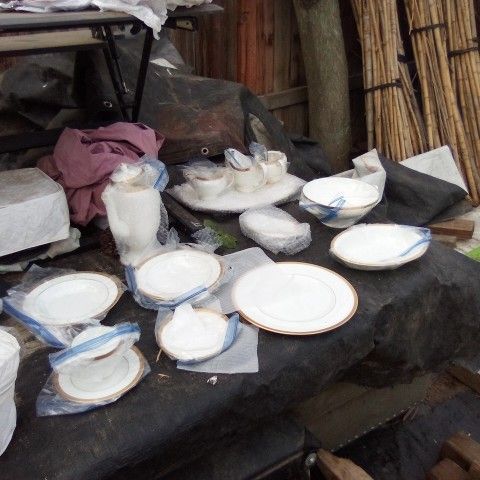 Wedgwood Senator Series Bone In China