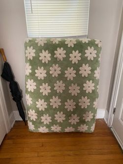 Large Dog Bed 31” x 45” FREE