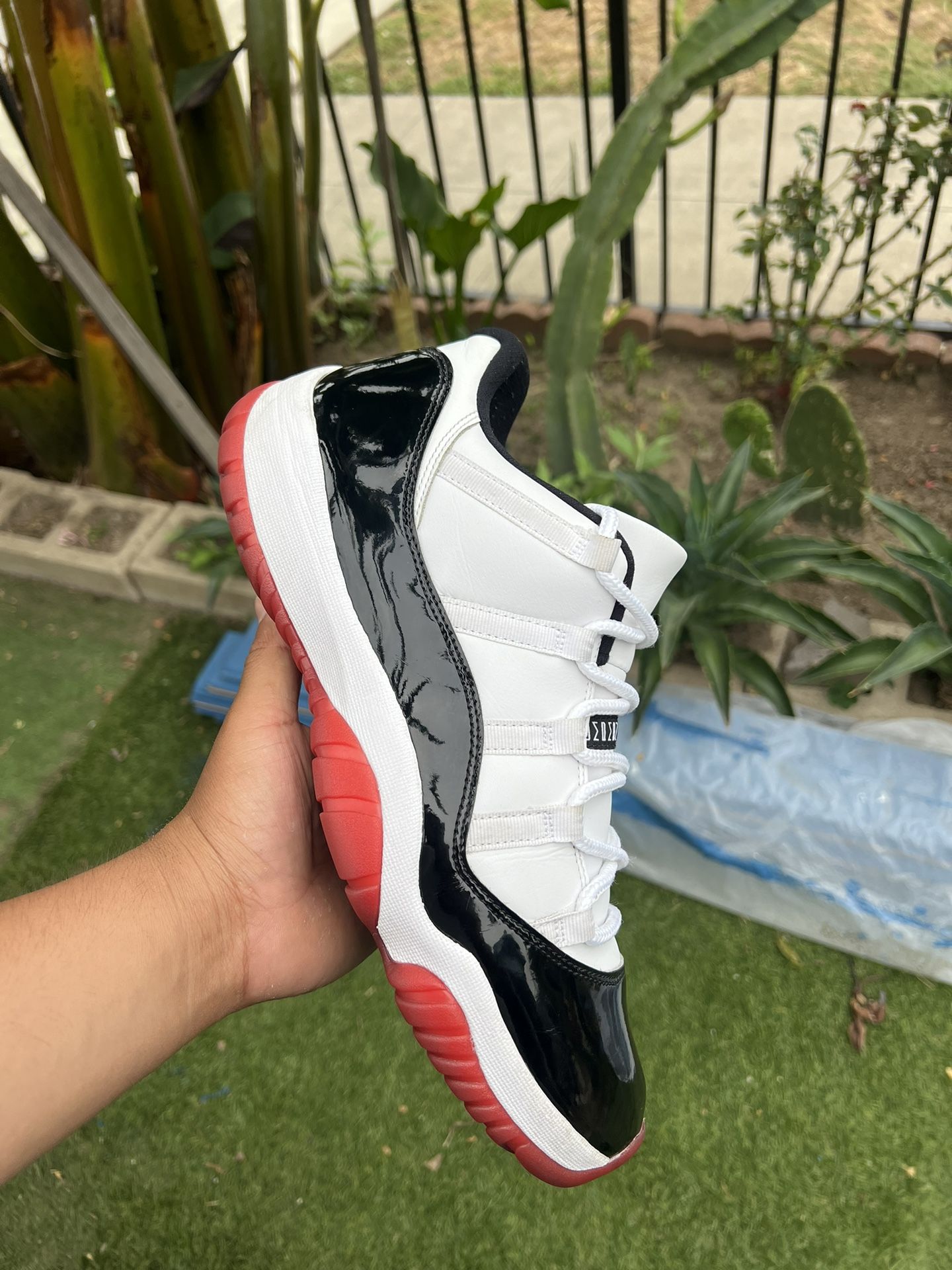 Jordan 11 (Concord Bred)