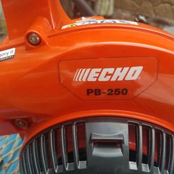 Echo Hand Held Blower 