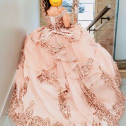Quinceanera/sweet Sixteen Dress