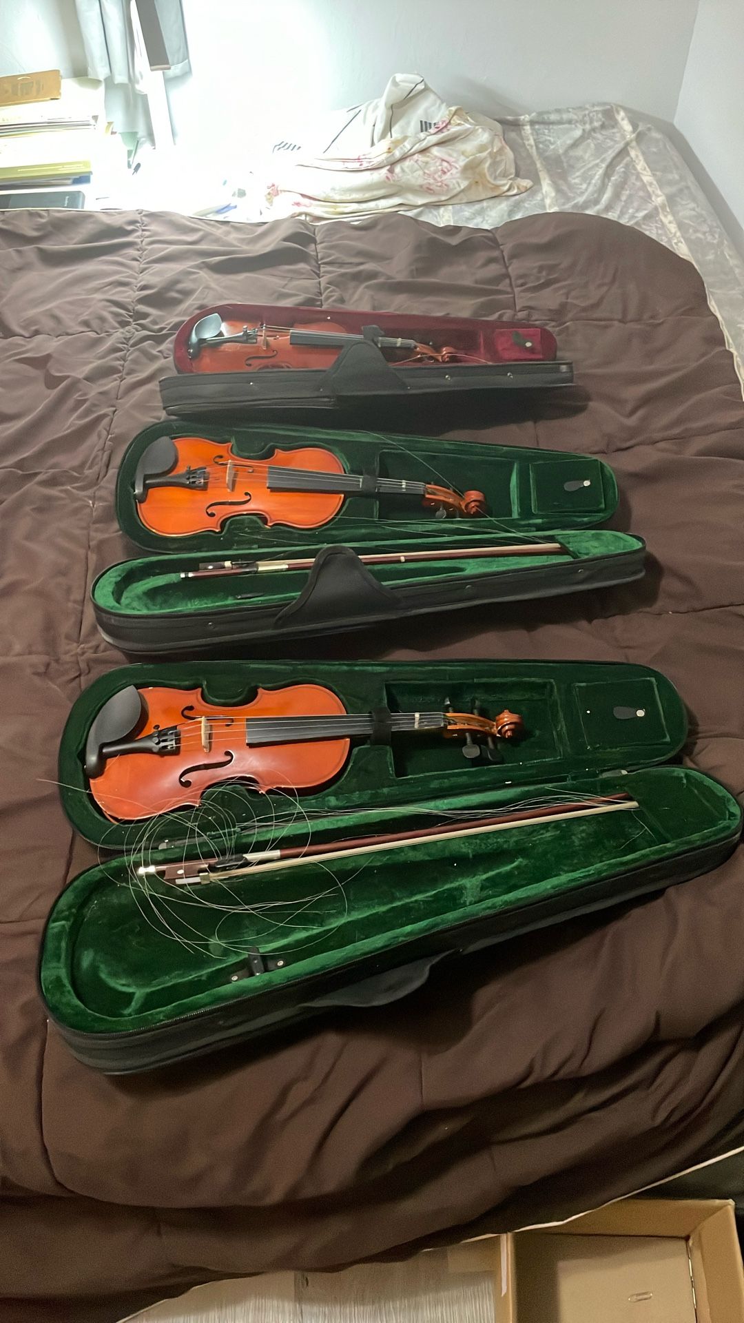 violin