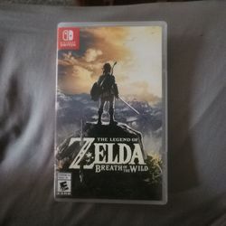 Nintiendo switch game