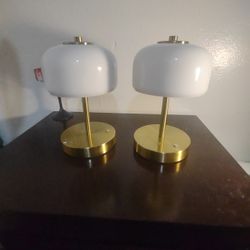 Two  Bedside Lamps 