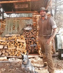 Eucalyptus firewood/ oak firewood