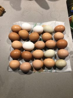 Farm Fresh Eggs