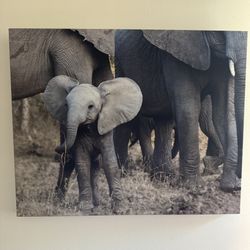 Two Canvas Wall Decor