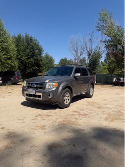 2011 Ford Escape Limited