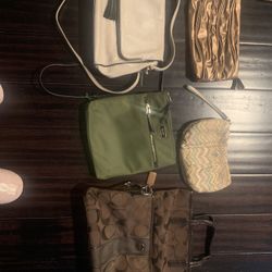 Purses Bundle