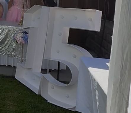 15 4 Feet Tall With Lights