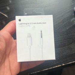 Lightning audio jack