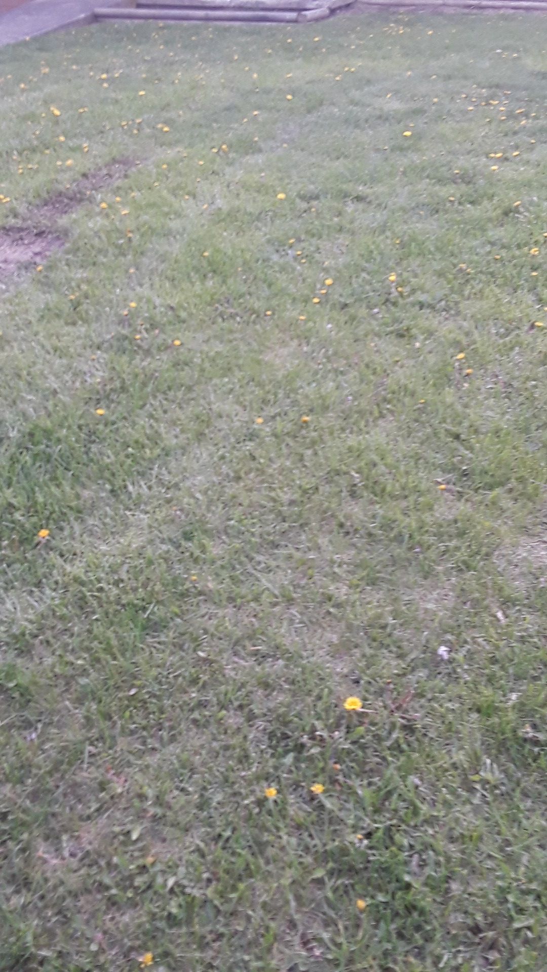 We cut grass