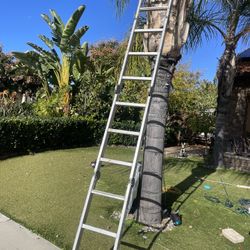 Ladder Folding 12 Feet 