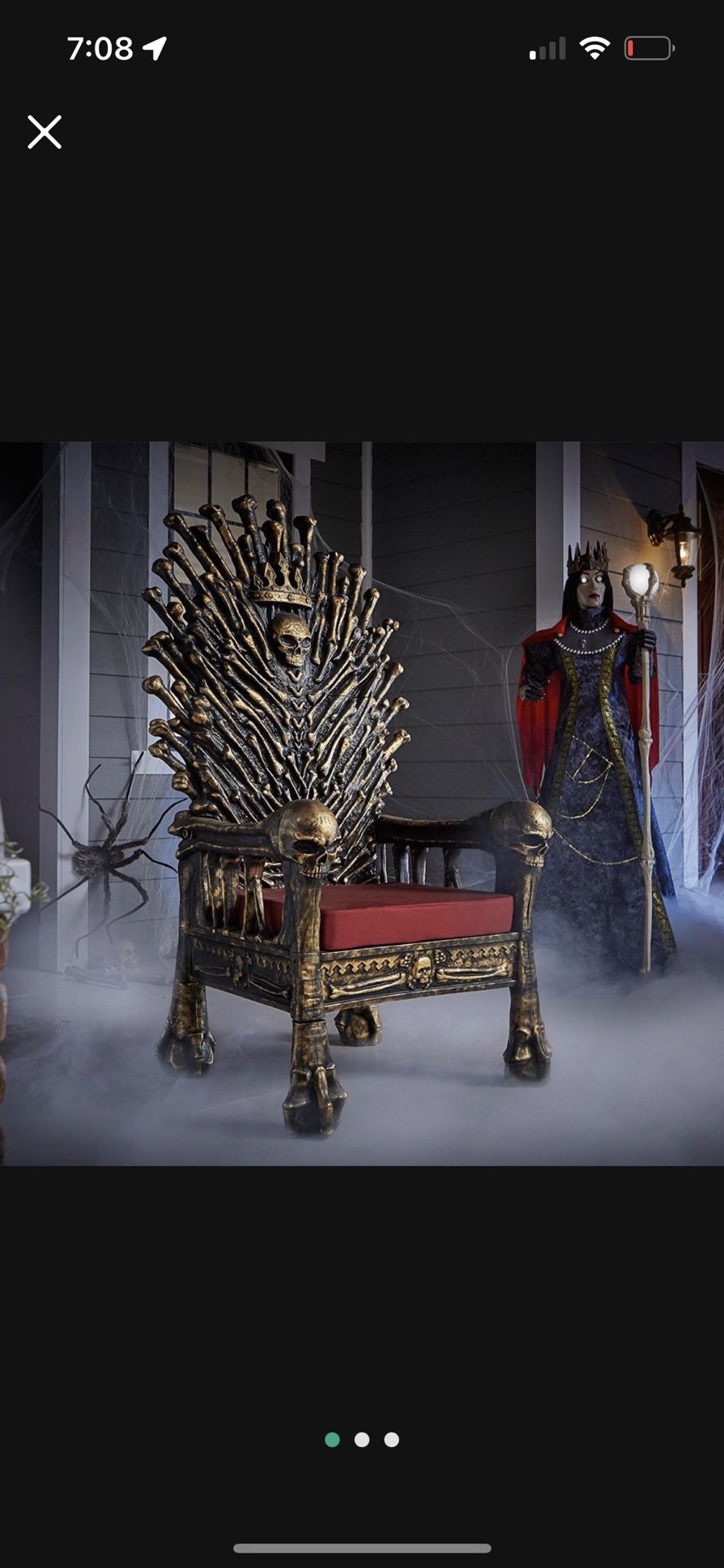 Skull Thrown Chair