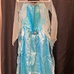 Disney Frozen Elsa Costume