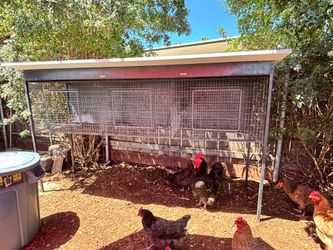 Commercial-Grade Raised Steel Animal Enclosures