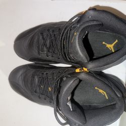 Jordan 12