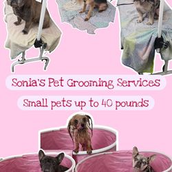 Grooming Bath And Table 