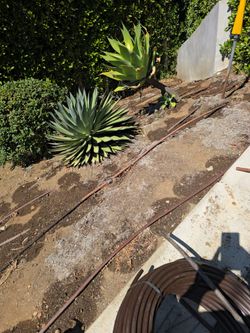 Irrigation Valves