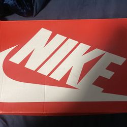 Nike Dunks High Bodega