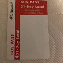 31 Day Bus Pass 