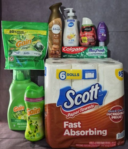 NASHVILLE, GA Lot Of 9 Gain Household Bundle