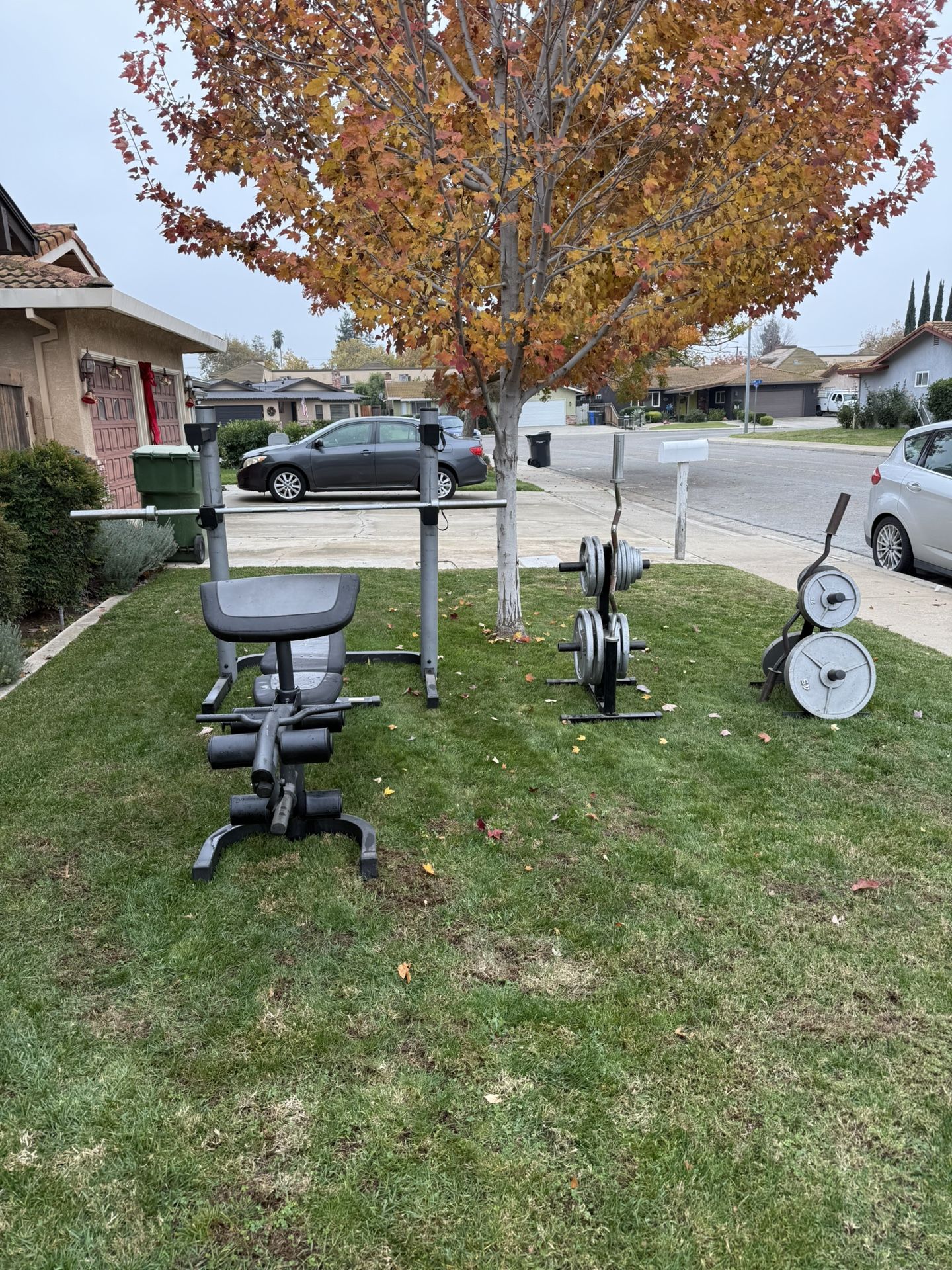 Weight Set + Bench Press/ Squat Rack/ Leg Extensions/ Preacher Curls