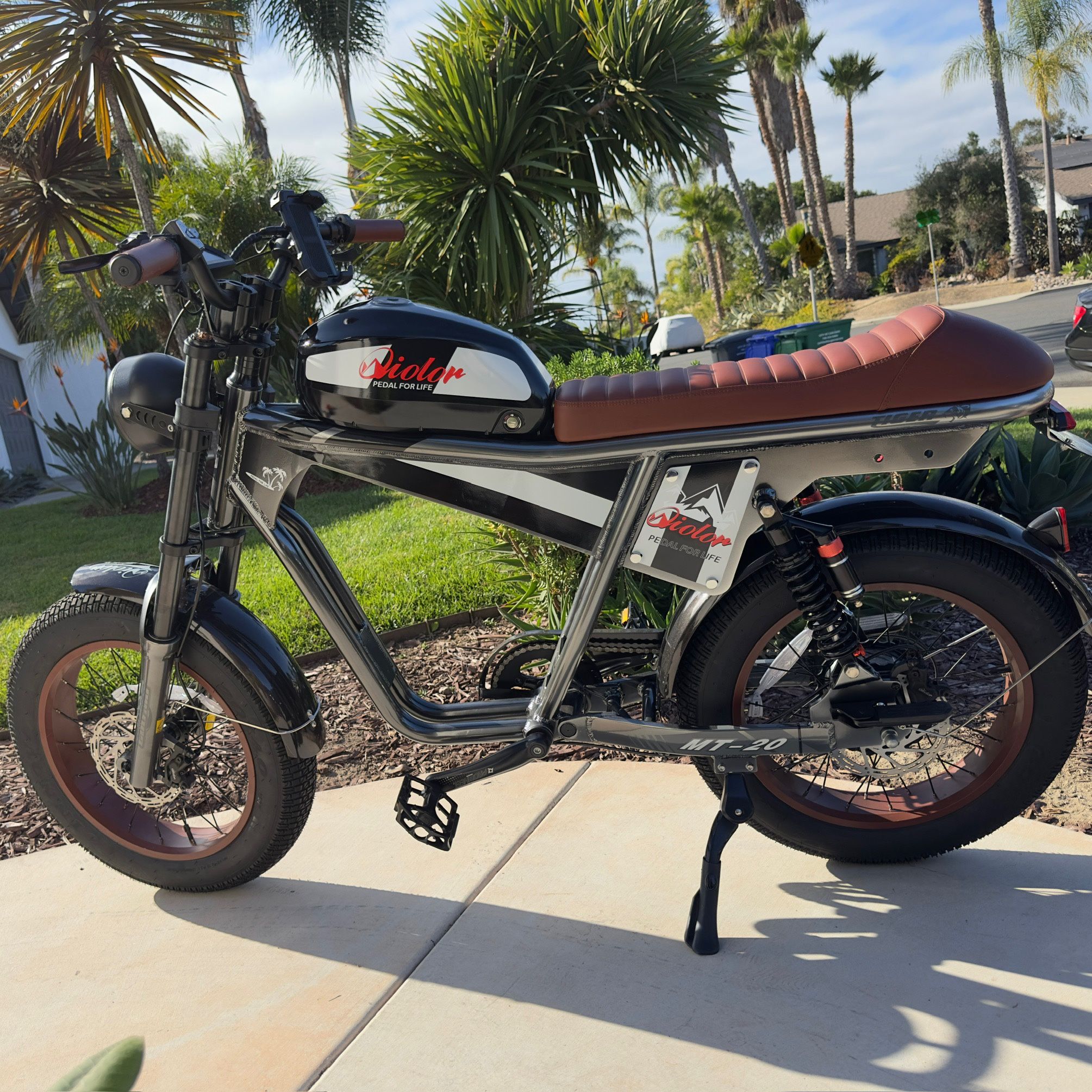 Tiger Plus Electric Bike