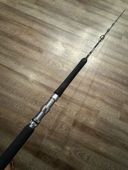 Shimano Terez 6’6” bed 50-150 conventional Rod.