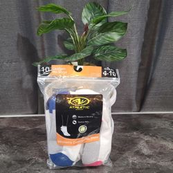 Athletic Cushioned No Show Socks 10pk 