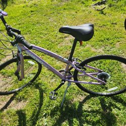 Diamond Back Mountain Bike