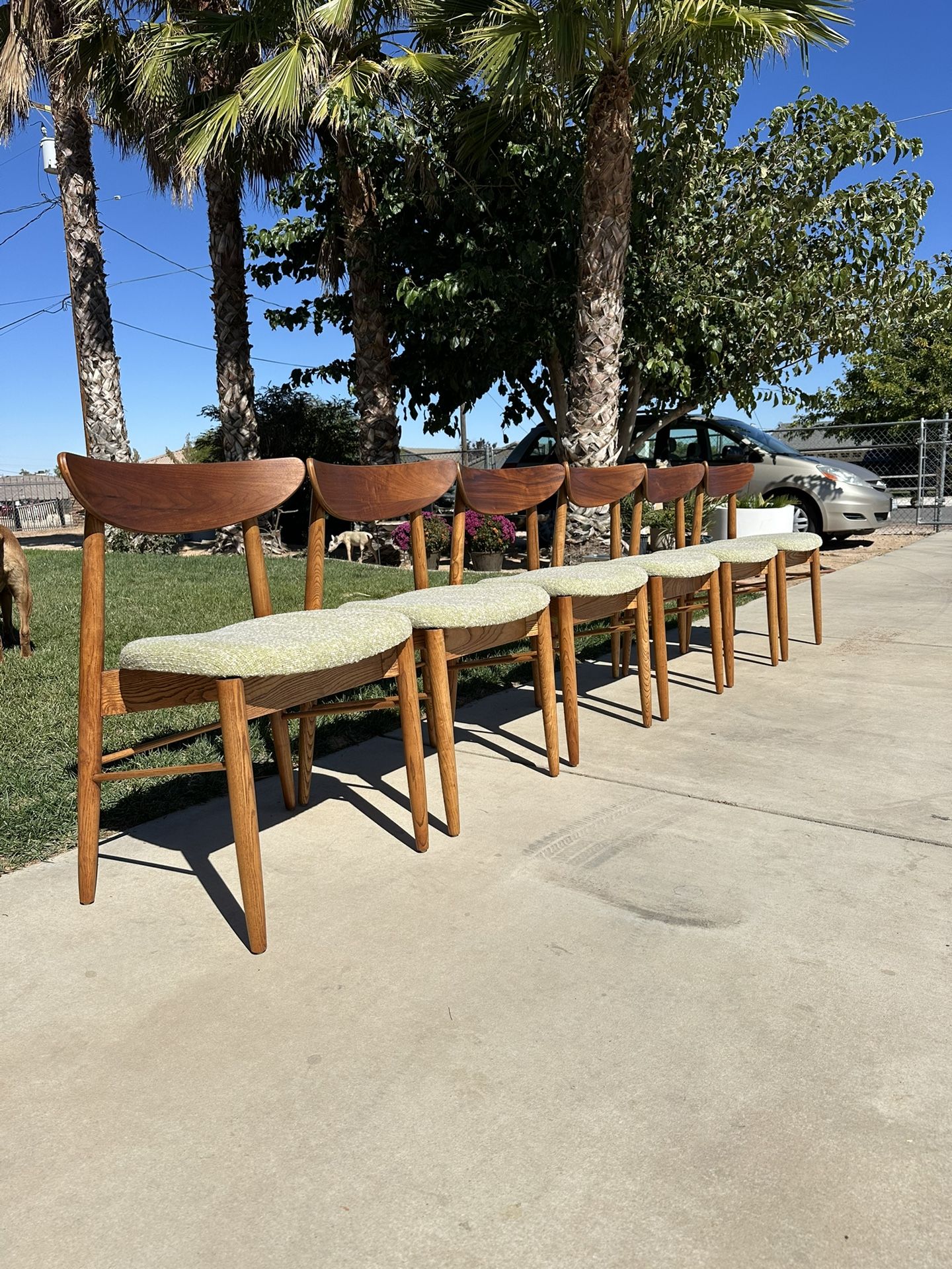 Mid- Century Modern Walnut Wood Dining Chairs (6)