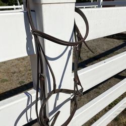Stubben English Headstall