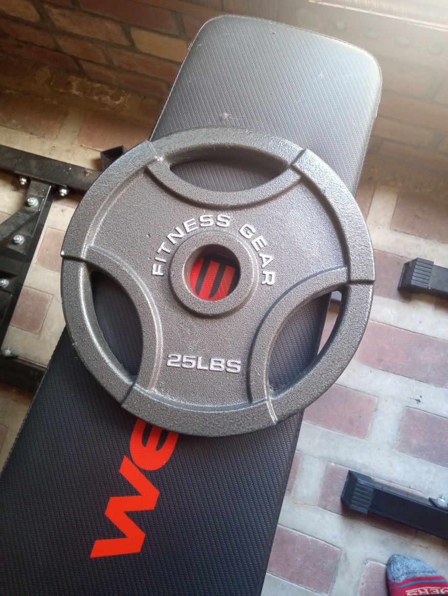 Two 25lbs Olympic Weights