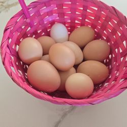 Eggs