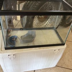 Turtle Tank Or Fish Tank 