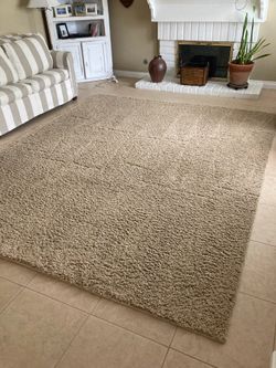 Area rug