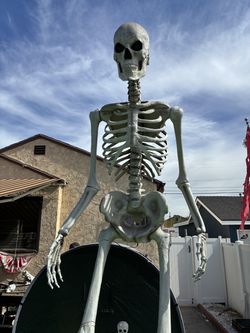 12 Ft Skeleton not Animated