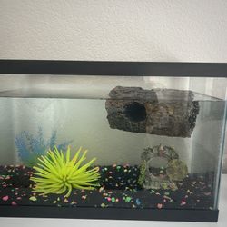 Fish Tank With Filter And Accessories 