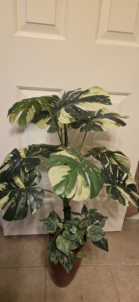 Artificial Mostera Deliciosa 36" By 24" Inch