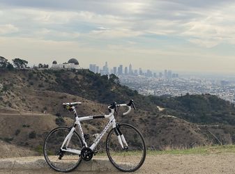 Pinarello Razha Size 55 (frame Only)